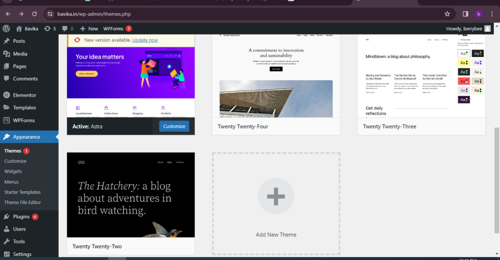 Customizing Your Website's Design
